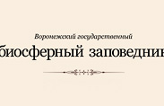 Разработка рекламных баннеров для Воронежского государственного биосферного заповедника